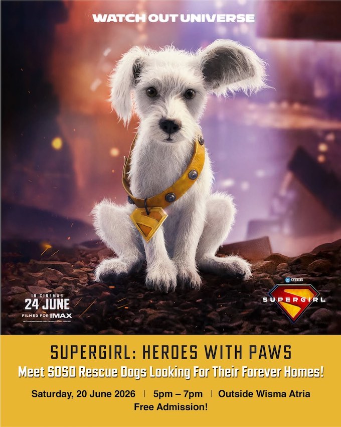 https://www.fortalezadelasoledad.com/imagenes/2026/06/16/HeroesWithPaws.jpg